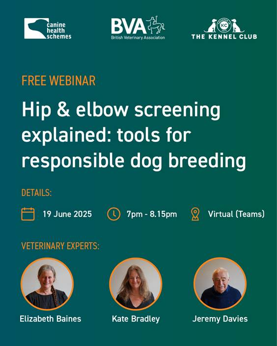 BVA free webinar for clients: Hip and Elbow Screening